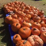 St. James UMC pumpkins 17 Oct 2021